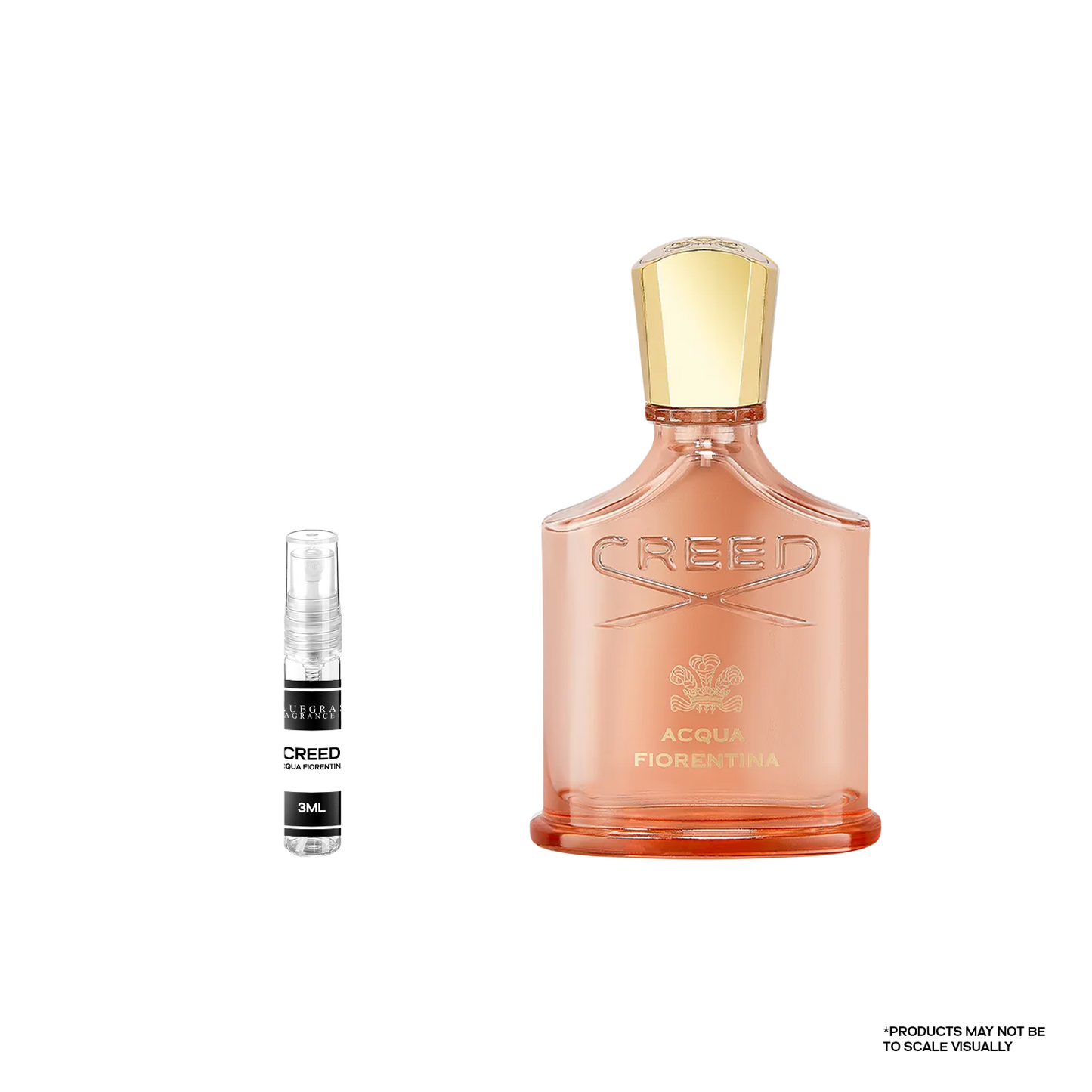 Creed – Acqua Fiorentina